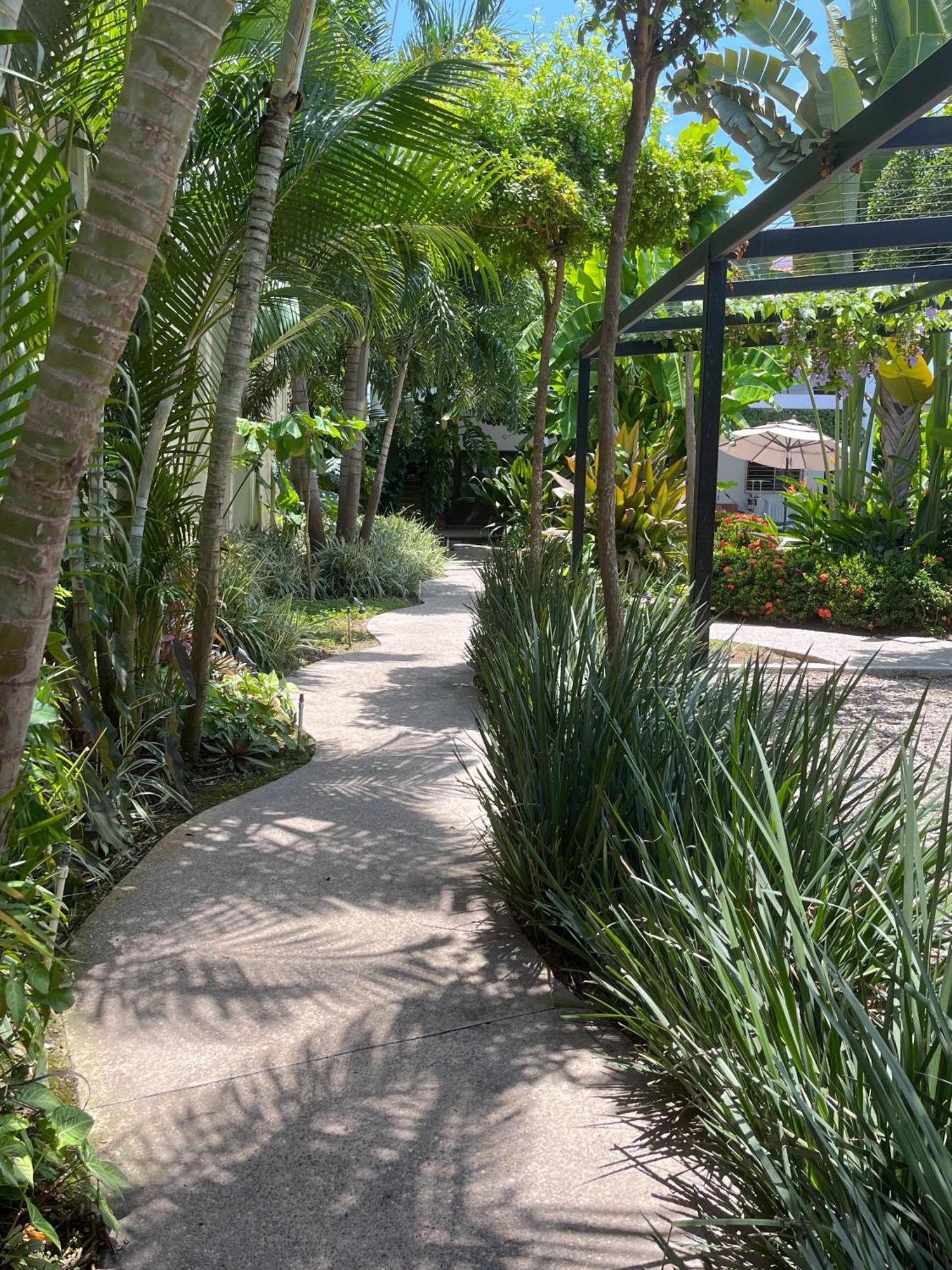 Los Gallos -Suite Vistas Panoramicas Lo de Marcos Exterior foto